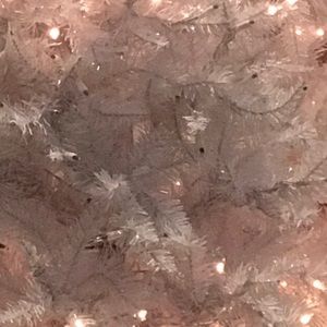 Meet your Posher, Roxanne